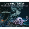 Life in Hot Water: Wildlife at the Bottom of the Ocean