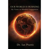 Our World is Burning: My Views on Mindful Engagement