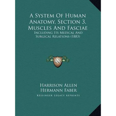 A System Of Human Anatomy, Section 3, Muscles And Fasciae: Including Its Medical And Surgical Relations (1883)