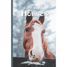 Picture Book Of Horses: Large Print Book For Seniors with Dementia or Alzheimer's
