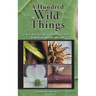 A Hundred Wild Things: A Field Guide to Plants in the Greenbelt North Woods