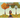Samhain Pumpkins: The Adventures of Aggie