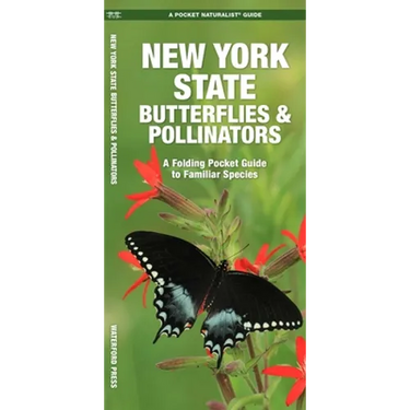New York State Butterflies & Pollinators: A Folding Pocket Guide to Familiar Species