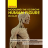 Modeling The Ecorche Human Figure in Clay: A Sculptor's Guide to Anatomy