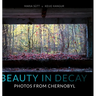 Beauty in Decay: Photos from Chernobyl