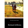 The Life of the Fields