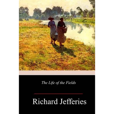 The Life of the Fields
