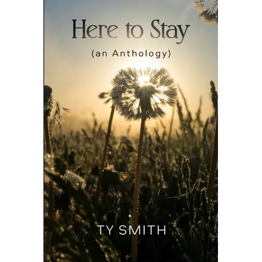 Here to Stay (an Anthology)