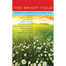 The Bright Field: Readings, Reflections and Prayers for Ascension, Pentecost, Trinity and Ordinary Time