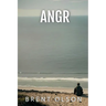 Angr: second edition