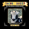 Jacob Sheep: Do You Have A Little Lamb?