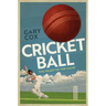 Cricket Ball
