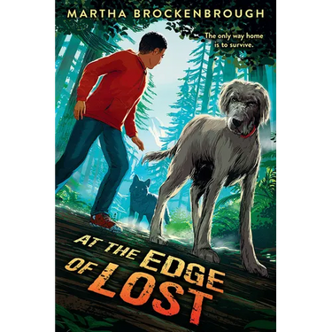 At the Edge of Lost