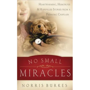 No Small Miracles: Heartwarming, Humorous, and Hopefilled Stories from a Pediatric Chaplain