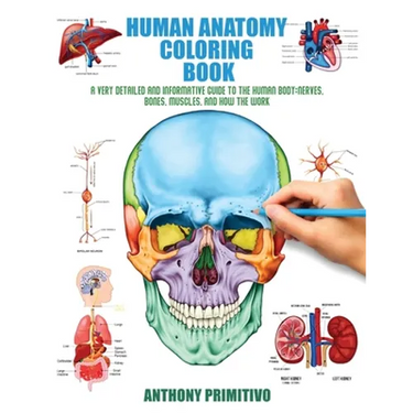 Human Anatomy Coloring Book: A Very Detailed and Informative Guide to the Human Body: Nerves, Bones, Muscles, and How to the Work