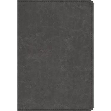Student Study Bible-ESV