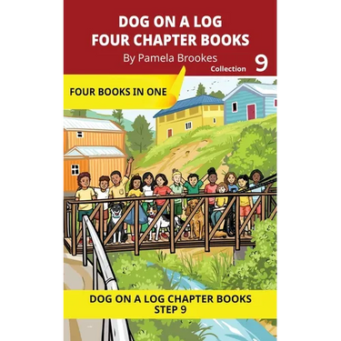 Four Chapter Books 9: Decodable Series for Students Learning to Read. For Developing Readers and Students with Dyslexia. (Step 9-Vowel Digraphs-ai, ay