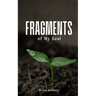 Fragments of My Soul