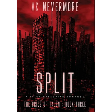 Split: A Spicy Dystopian Romance