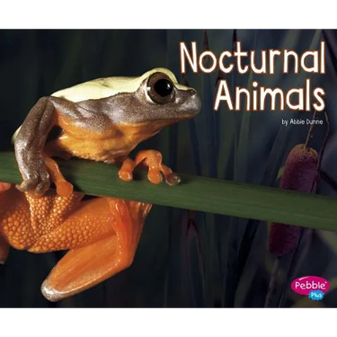 Nocturnal Animals