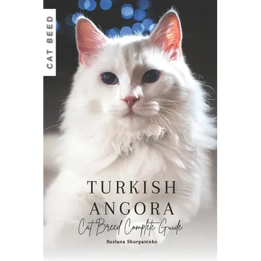 Turkish Angora: Cat Breed Complete Guide