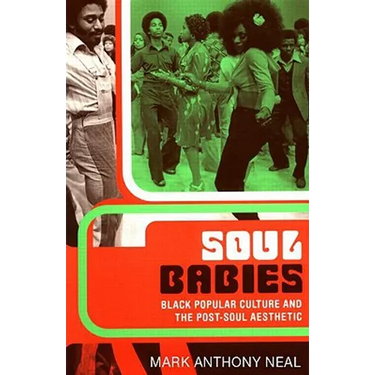 Soul Babies: Black Popular Culture and the Post-Soul Aesthetic
