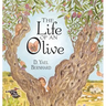 The Life of an Olive