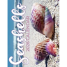 Seashells 2026 Calendar