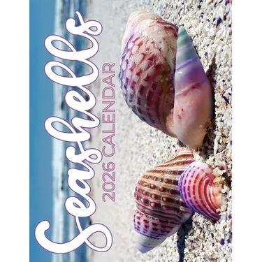 Seashells 2026 Calendar