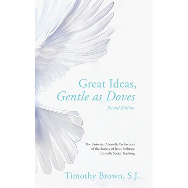 Great Ideas, Gentle as Doves: The Universal Apostolic Preferences of the Society of Jesus Embrace Catholic Social Teaching