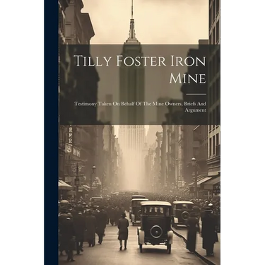 Tilly Foster Iron Mine: Testimony Taken On Behalf Of The Mine Owners, Briefs And Argument
