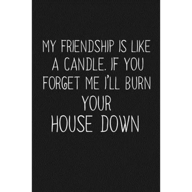 My Friendship Is Like A Candle If You Forget Me I'll Burn Your House Down: Funny Gift For Your Best Friend