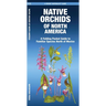 Native Orchids of North America: A Folding Pocket Guide to Familiar Species North of Mexico
