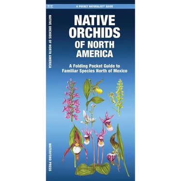 Native Orchids of North America: A Folding Pocket Guide to Familiar Species North of Mexico
