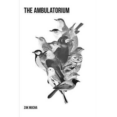 The Ambulatorium
