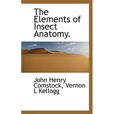 The Elements of Insect Anatomy.