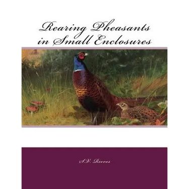Rearing Pheasants in Small Enclosures