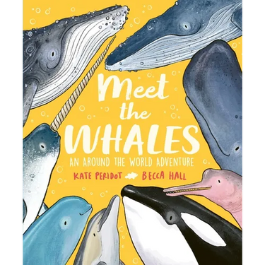 Meet the Whales