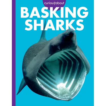 Curious about Basking Sharks