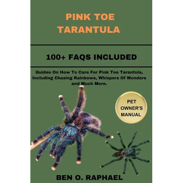 Pink Toe Tarantula: Guides On How To Care For Pink Toe Tarantula, Including Chasing Rainbows, Whispers Of Wonders and Much More.