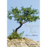 Vanguards of Faith: Learning to Live by Faith Alone