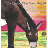 The Donkey That Never Brayed