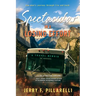 Spectacular In A Losing Effort: A Travel Memoir