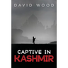 Captive in Kashmir