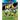NFL