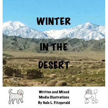 Winter in the Desert