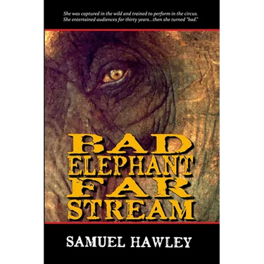 Bad Elephant Far Stream