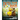 Detective Duck: The Case of the Strange Splash (Detective Duck #1)