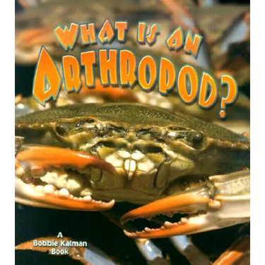 What Is an Arthropod?