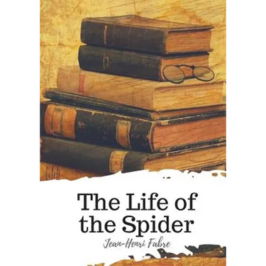 The Life of the Spider